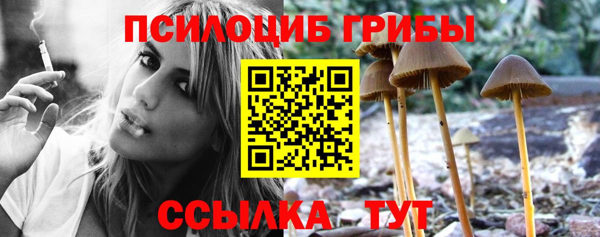 Галлюциногенные грибы ЛСД  Вход с VPN  Барнаул  Псилоцибиновые грибы ЛСД 