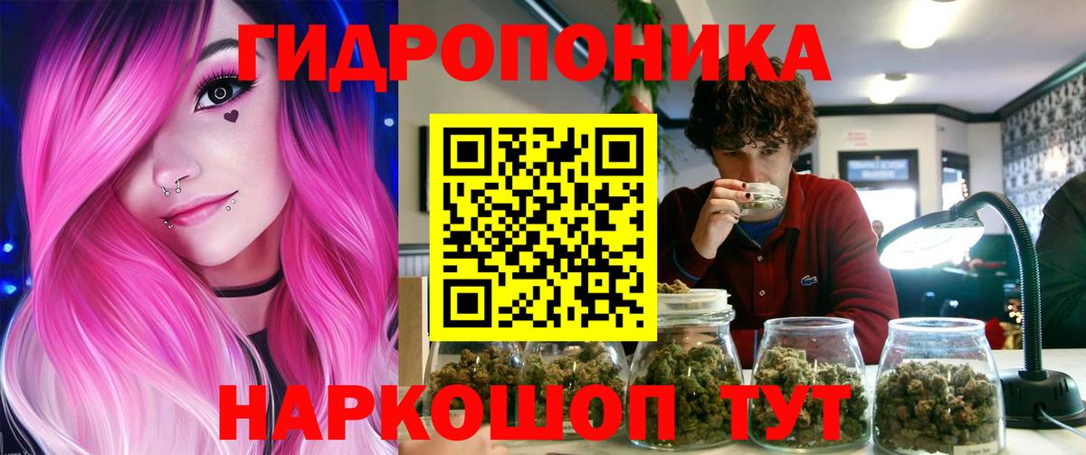 Каннабис Bruce Banner Барнаул